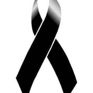 Meet your Posher, Guillermo